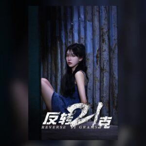 反转21克 PC Steam