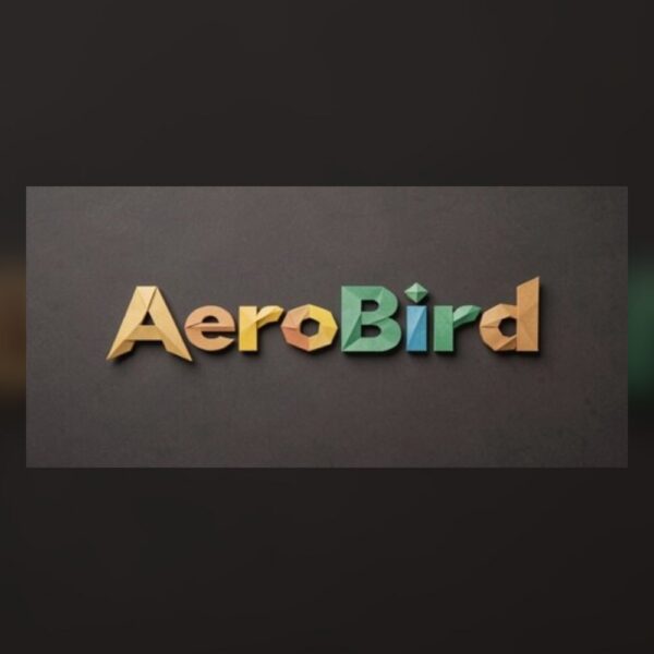 AeroBird PC Steam