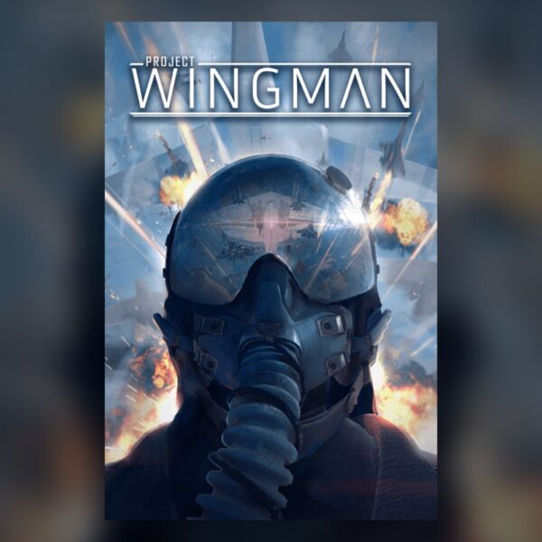 Project Wingman PC Steam