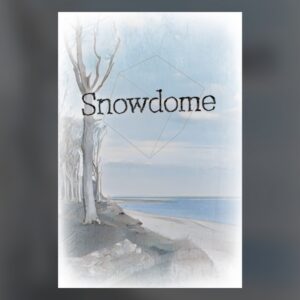 Snowdome PC Steam